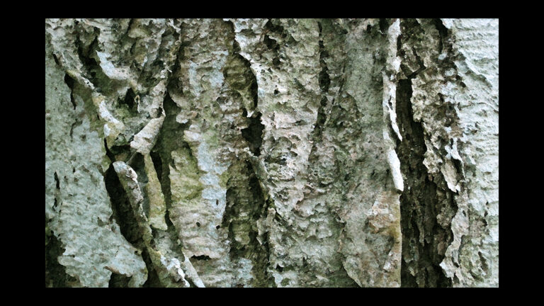 Exhibition Concept 4