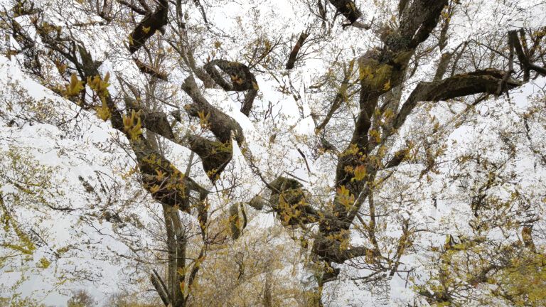 Exhibition Concept 6