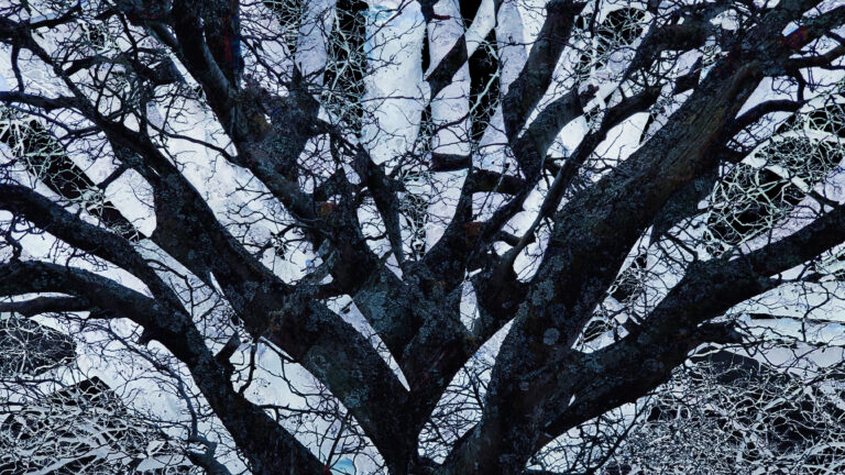 Exhibition Concept 3